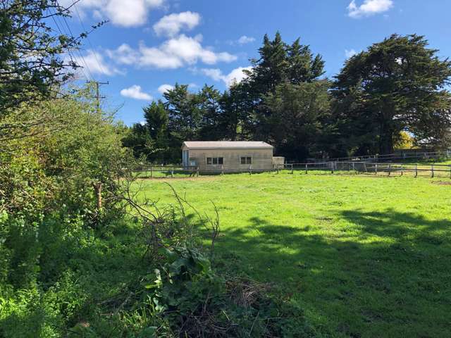 26 Buxton Road Westmere_4