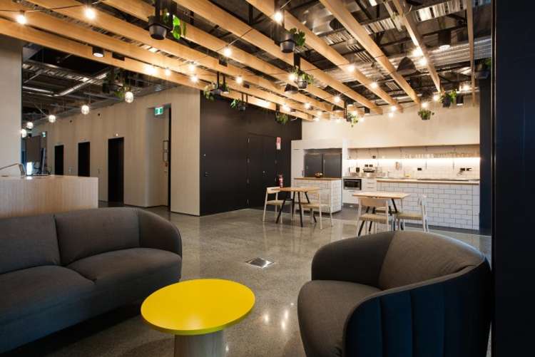 12 Madden Street Auckland Central_2