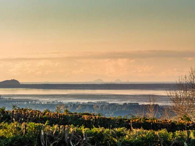 533 Wainui South Road Whakamarama_3