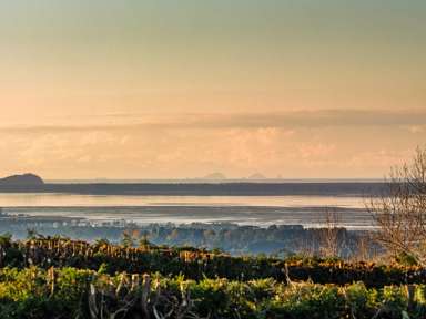 533 Wainui South Road_2
