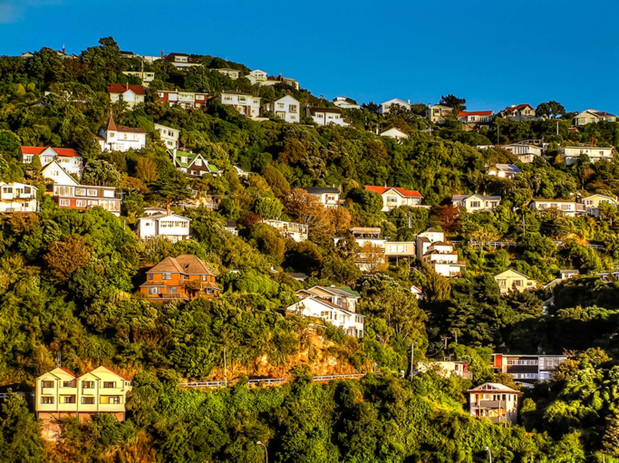 Multiple offers now less commonplace in Wellington