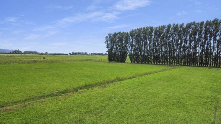 434-454 Awakeri Road Edgecumbe_5