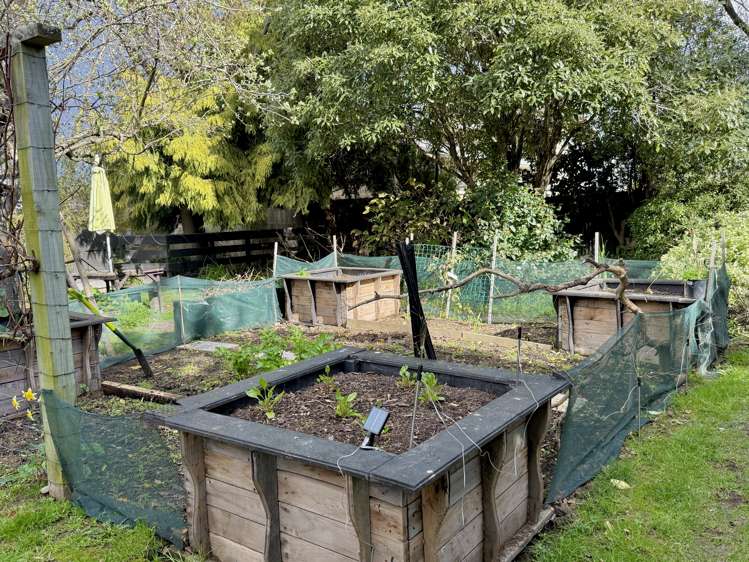 4 Exeter Street Waimate_14