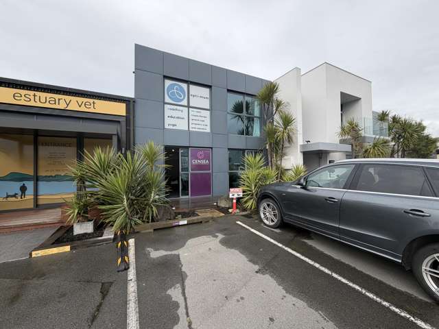 Practical Ferrymead office
