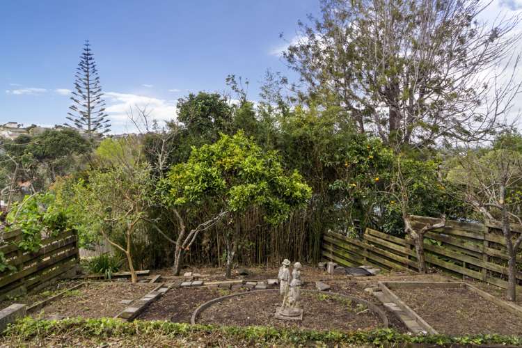 19 Ravenwood Drive Forrest Hill_6