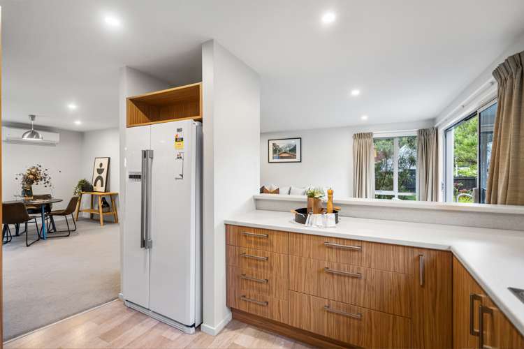 1/3 Sumnervale Drive Sumner_18