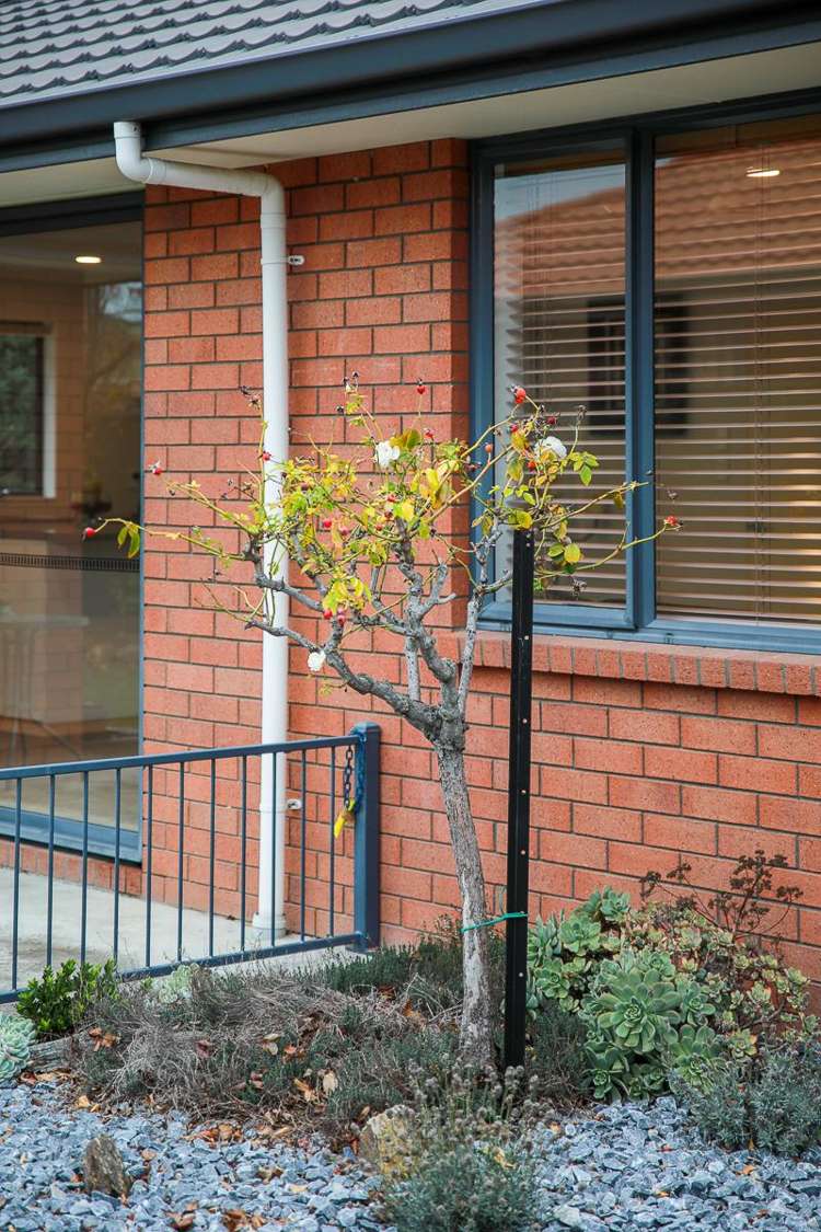 63d Howick Road Redwoodtown_20