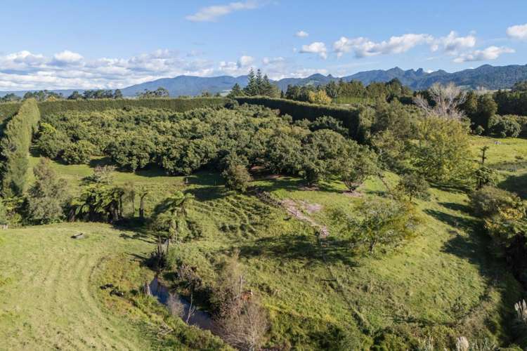 222 Wharawhara Road Katikati_14