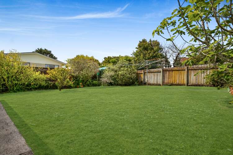 164 Wellington Street Pukekohe_2