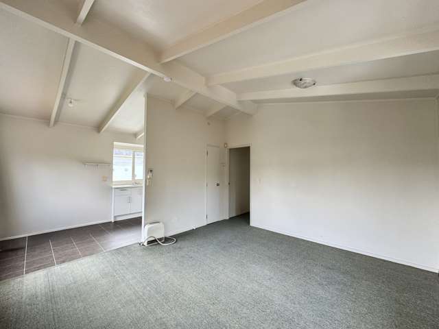 B/125 Seabrook Ave New Lynn_4