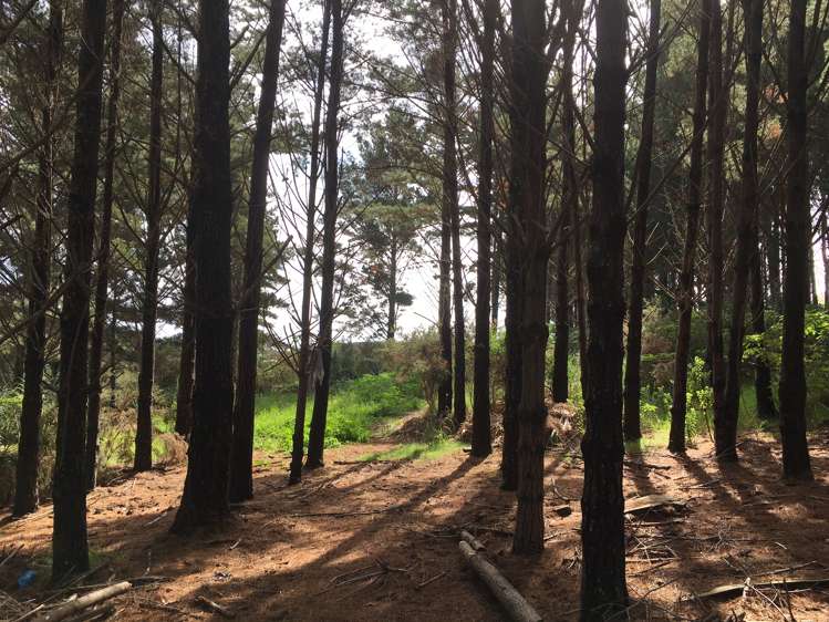 17 Pekama Drive Cable Bay_6