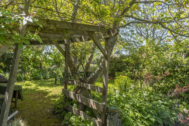 49 Loop Line Opaki_21