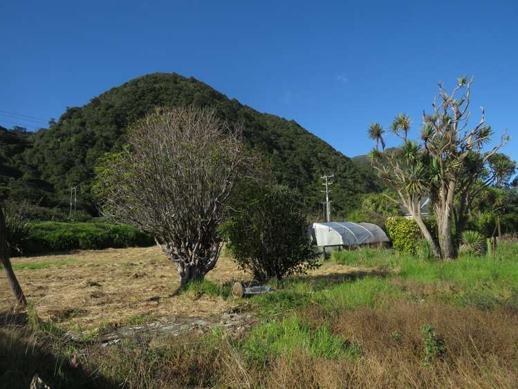 152 Torea Street Granity_6