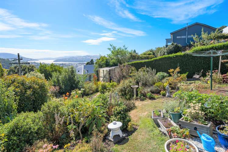 54 Waimea Avenue Calton Hill_16