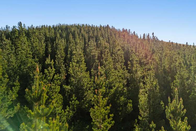 Lot 1 & 5 Ripponvale Road Cromwell_11