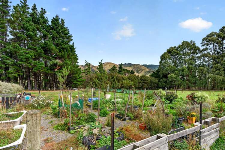 331 Upper Waingawa Road Masterton_8