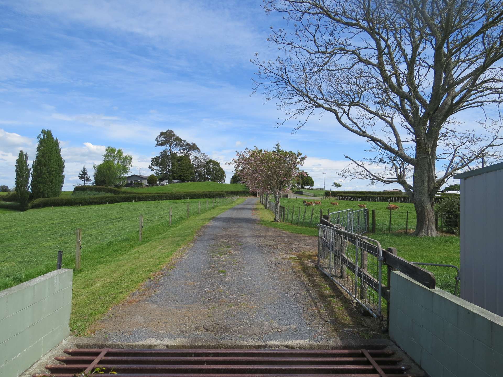 52 Burr Road Otorohanga_0