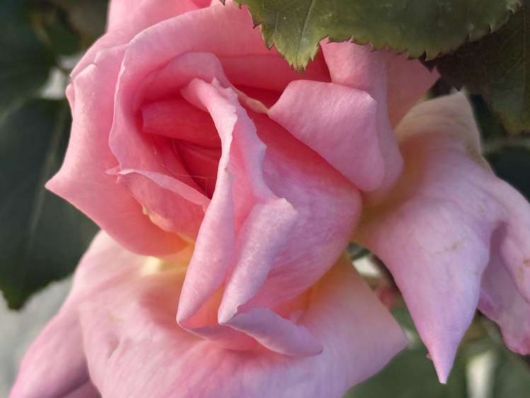 132 Waerenga Road Otaki_21