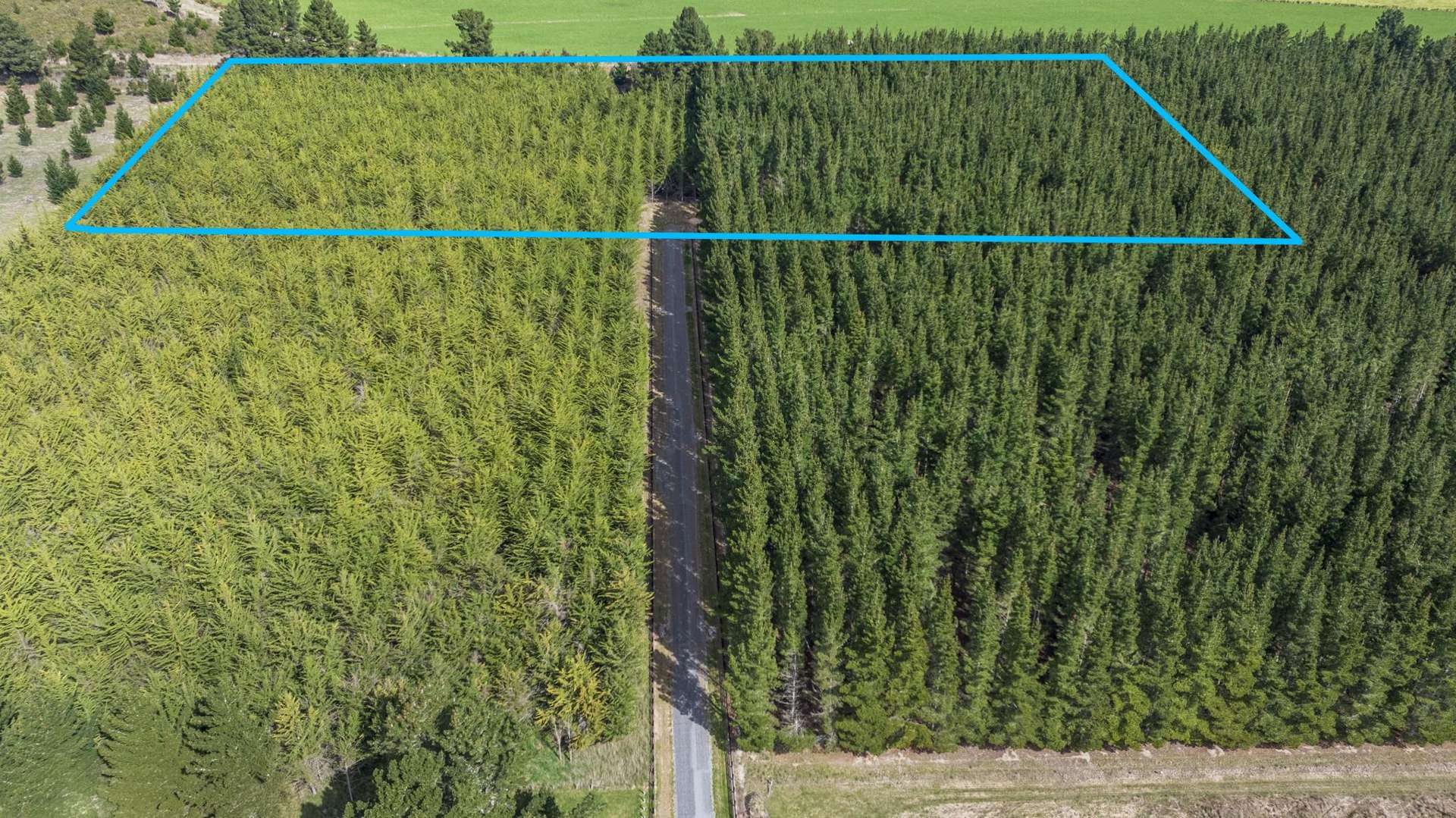 243 Worlingham Road Eyrewell Forest_0
