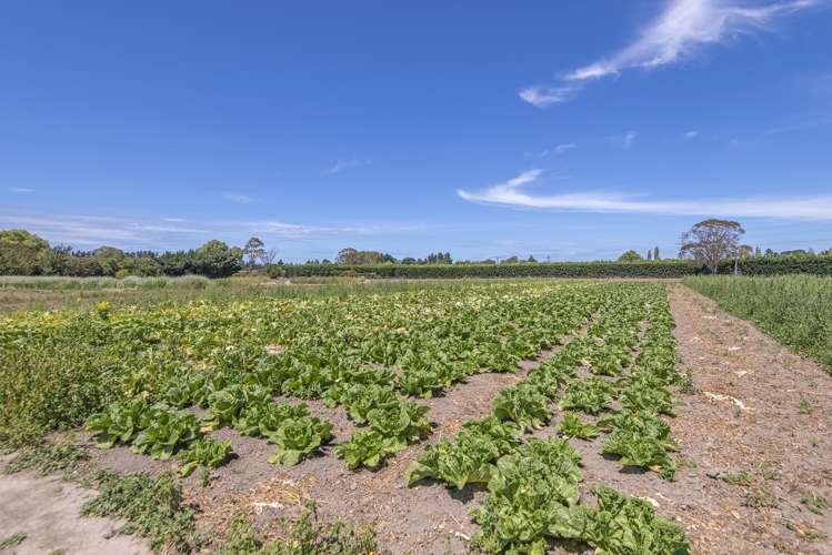 627 Pound Road Yaldhurst_8