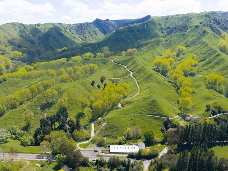 6900 State Highway 1 Mangaweka_23