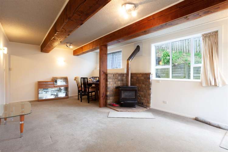 20 Durham Street Aro Valley_1