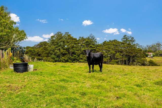 648 West Coast Road Makarau_4