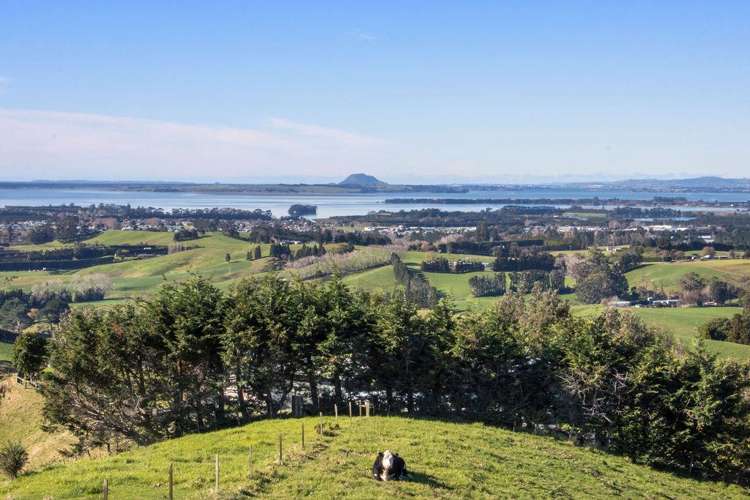 345A Lindemann Road Katikati_23