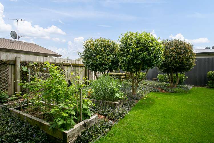 77c Grey Street Cambridge_20