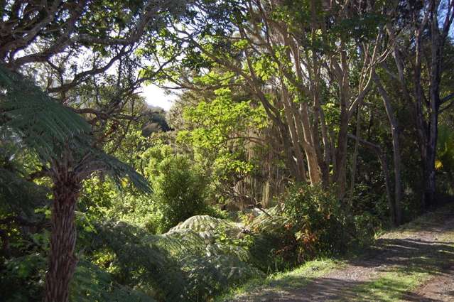 396d Shoal Bay Road Great Barrier Island (Aotea Island)_2