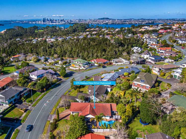 175 Chelsea View Drive Chatswood_16