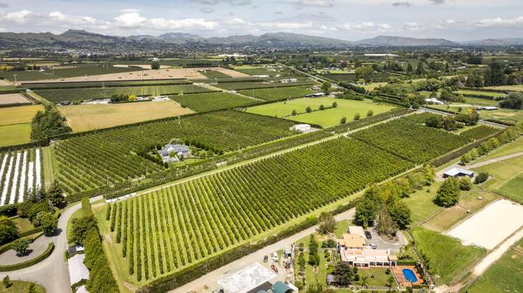 Rockit Orchard No.2 LP Hastings_10