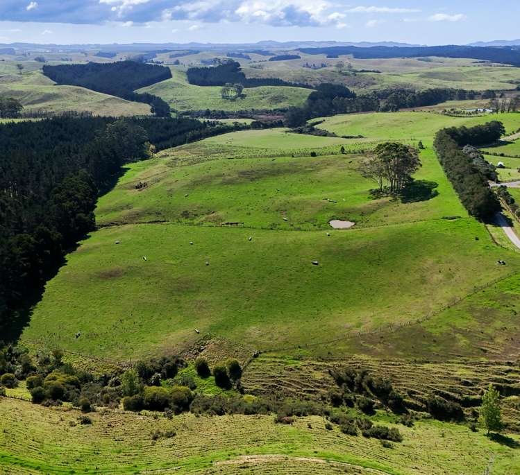 273 Redcliffs Road Kerikeri_5