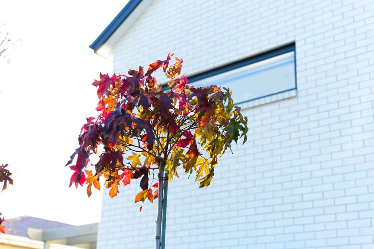 101 Charles Street Rangiora_23