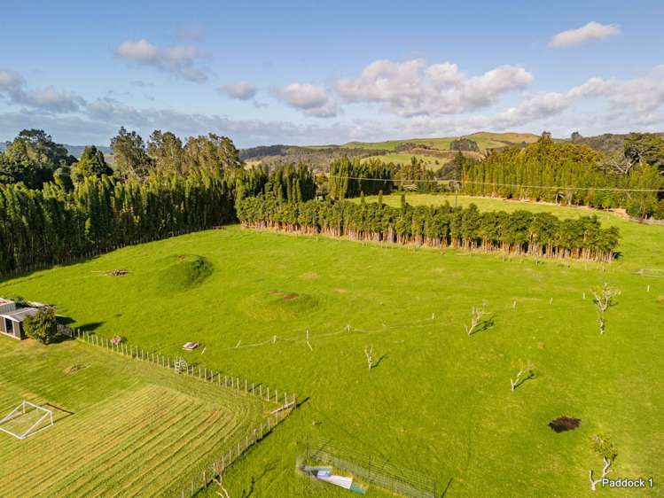 227 Pungaere Road Kerikeri Surrounds_20