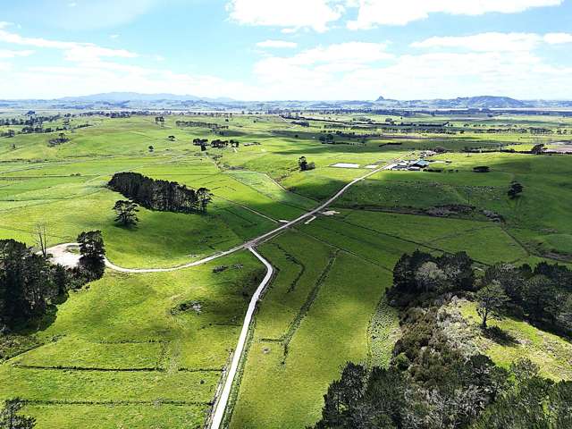 454 West Coast Road Te Kopuru_4