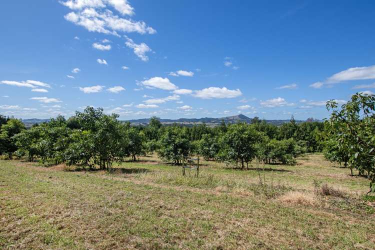 88 Stone Wall Rse Maungatapere_8