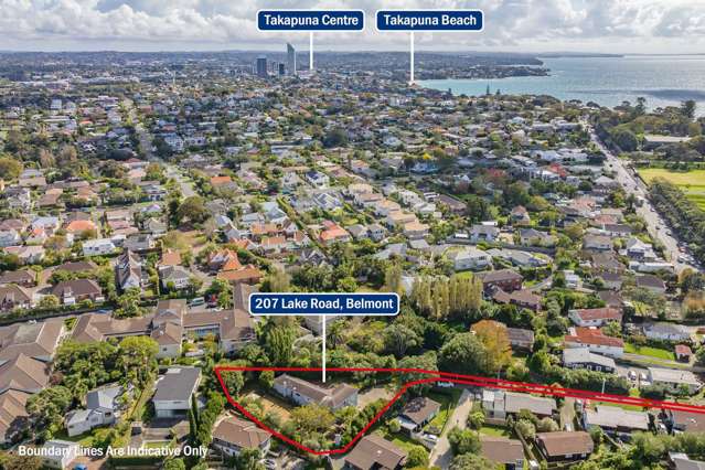 207 Lake Road Belmont_2