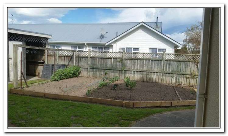 20 Park Avenue Masterton_22