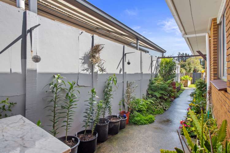 22a Tui Place Katikati_10