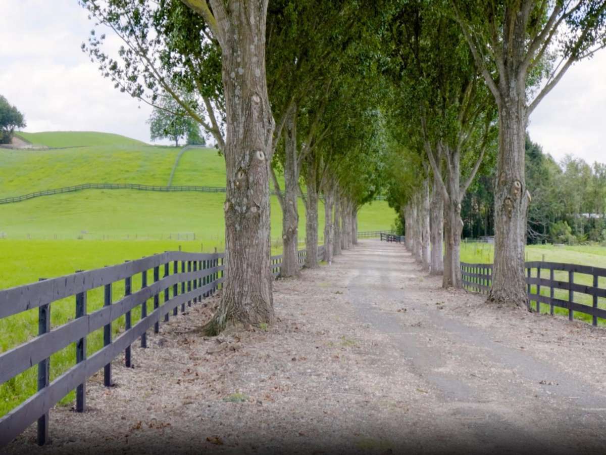 Lot Lot 2, 3 & 5 Harwoods Road_0