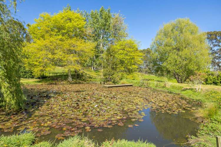 99 Wake Road Coatesville_9