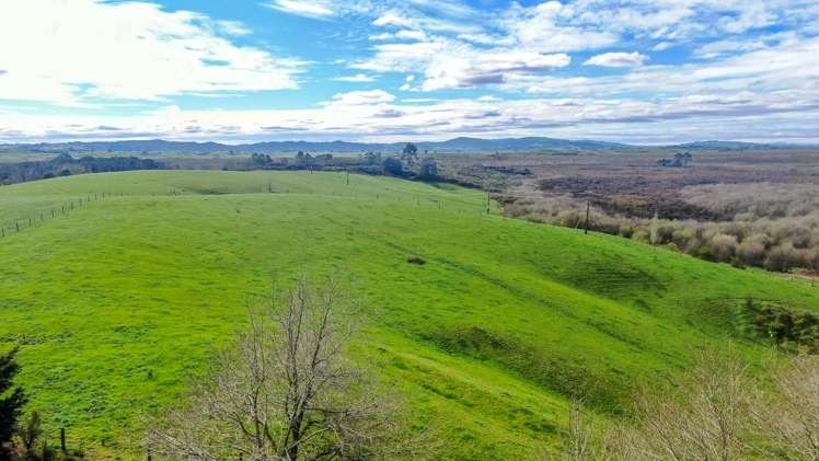 407 Island Block Road Te Kauwhata_7