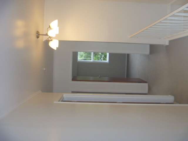 13 Knox Road Hillpark_2