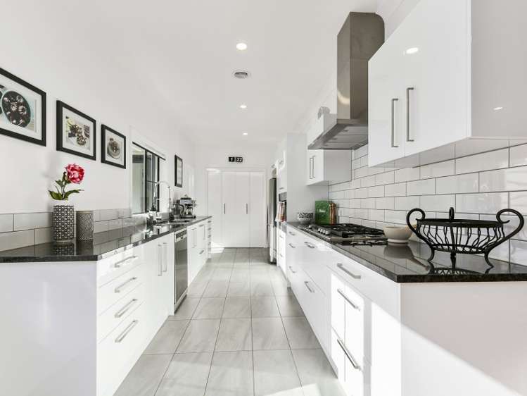 61 Ellesmere Avenue Miramar_7