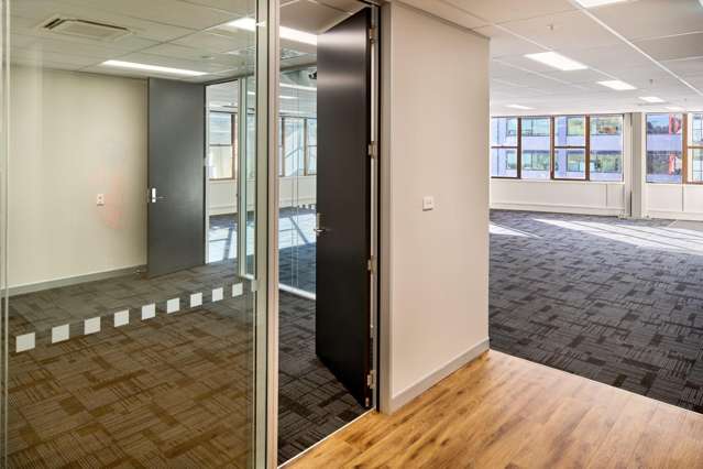 11 Aurora Terrace Wellington Central_4