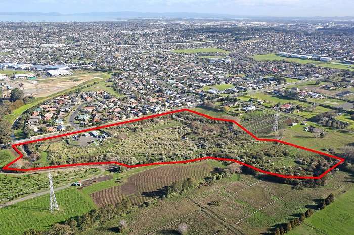 manukau Development