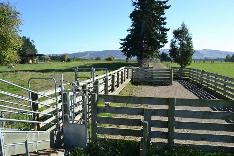 230 Bush Road Mosgiel_16