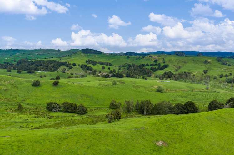 246 Allen and Eyre Road Onewhero_18