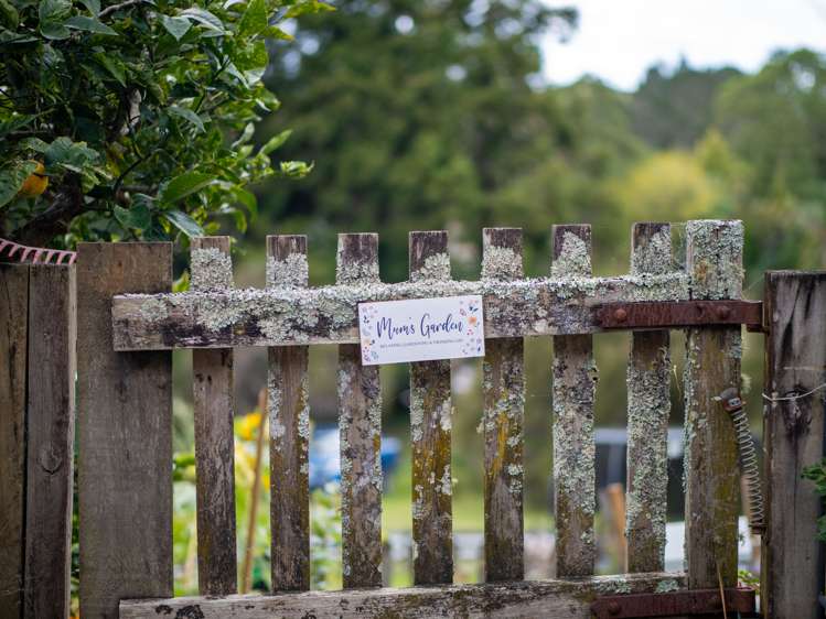 241d Stanners Road Kerikeri_22